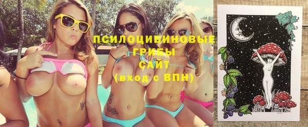 apvp Бронницы