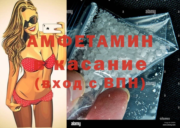 амф Верея