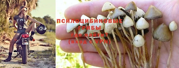 амф Верея