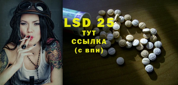 амф Верея