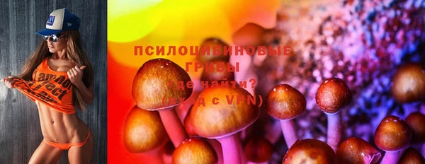 a pvp Верхний Тагил